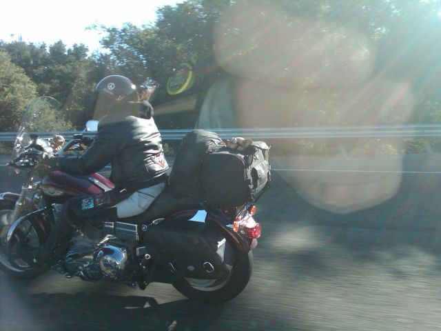 Daily picdump (111 pics)