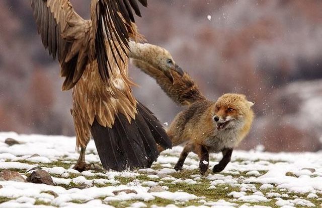 Daily picdump (111 pics)
