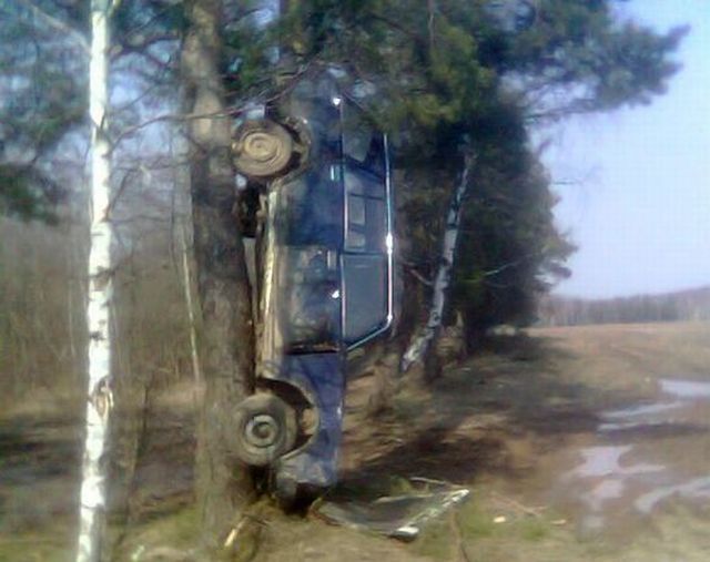 Daily picdump (111 pics)