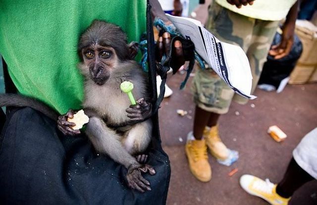 Daily picdump (111 pics)