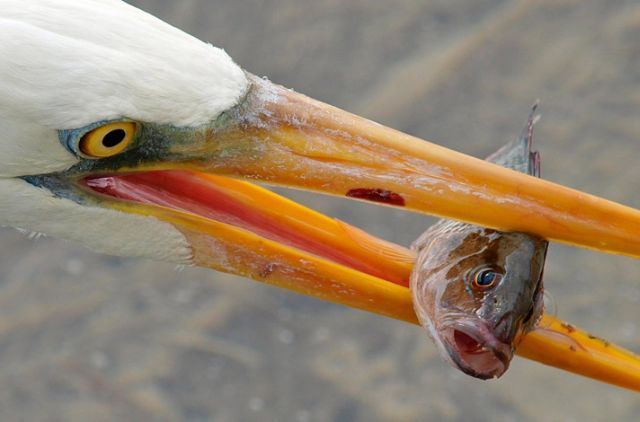Daily picdump (111 pics)
