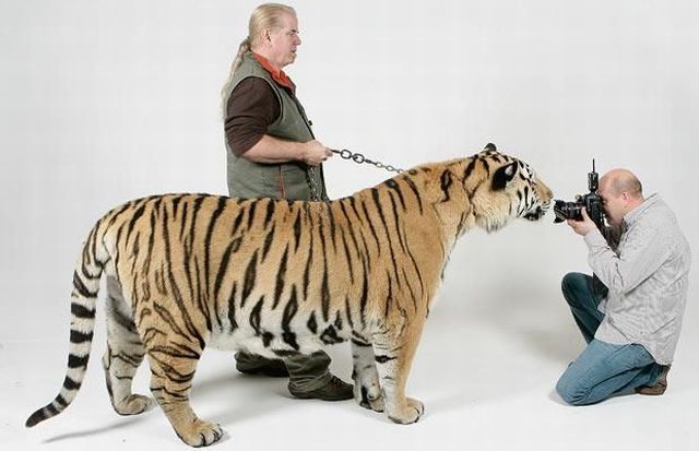 Daily picdump (111 pics)
