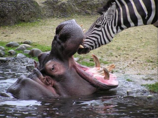 Daily picdump (111 pics)