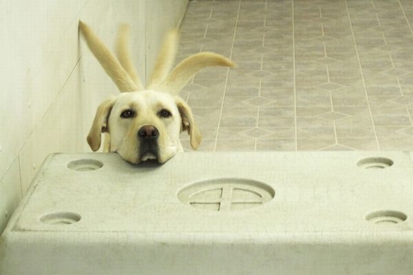 Daily picdump (111 pics)