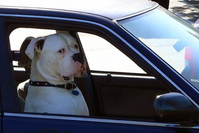 Daily picdump (111 pics)