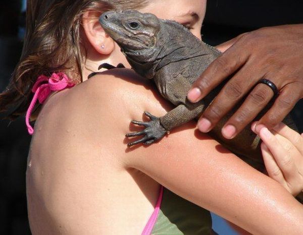 Daily picdump (111 pics)