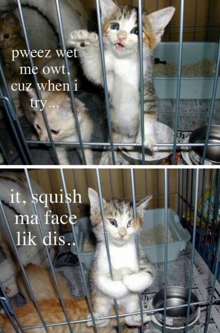 Daily picdump (111 pics)