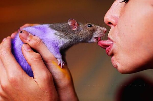 Daily picdump (127 pics)