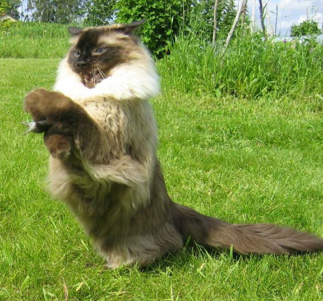 Daily picdump (127 pics)
