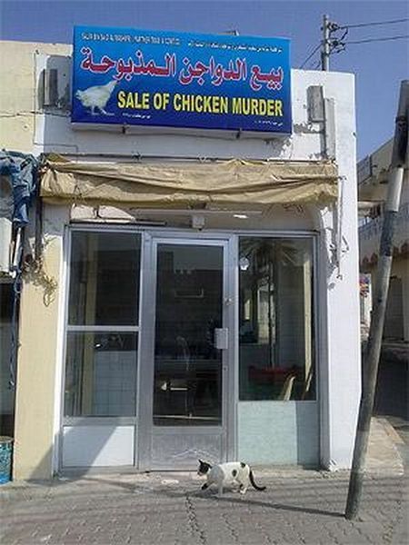Daily picdump (127 pics)