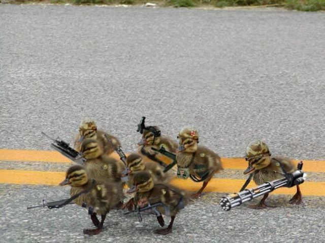 Daily picdump (127 pics)