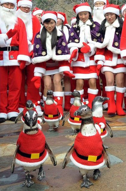 Daily picdump (127 pics)