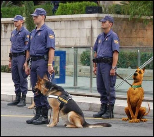 Daily picdump (127 pics)
