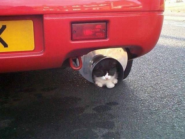 Daily picdump (127 pics)