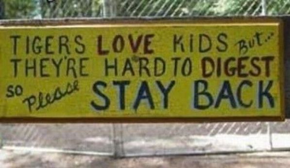 Daily picdump (127 pics)
