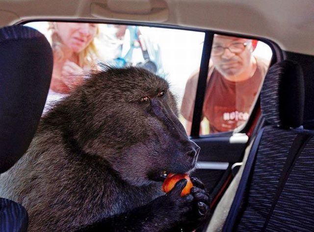 Daily picdump (127 pics)