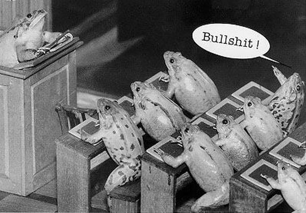 Daily picdump (127 pics)