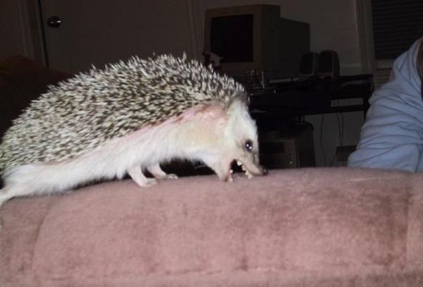 Daily picdump (127 pics)