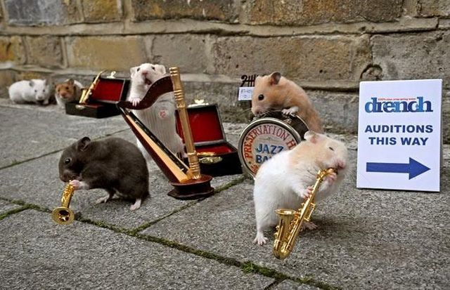 Daily picdump (127 pics)