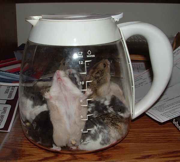 Daily picdump (127 pics)
