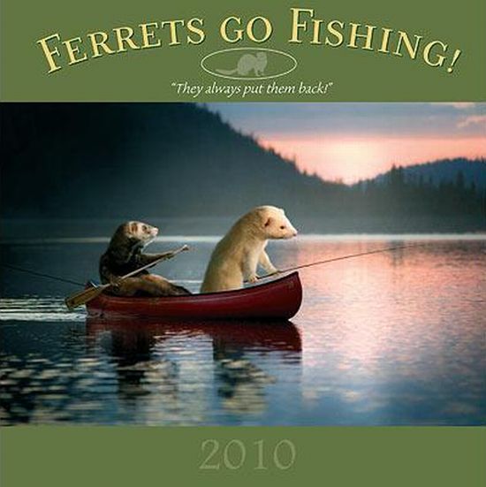 Great Calendar For 2010 (13 pics)