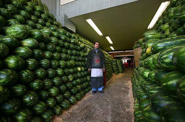 Daily picdump (108 pics)
