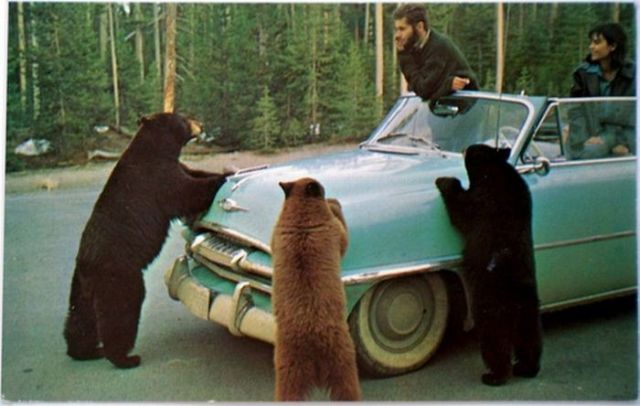 Daily picdump (108 pics)