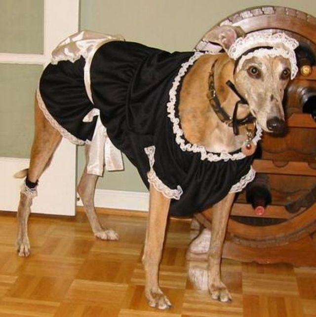 Daily picdump (108 pics)