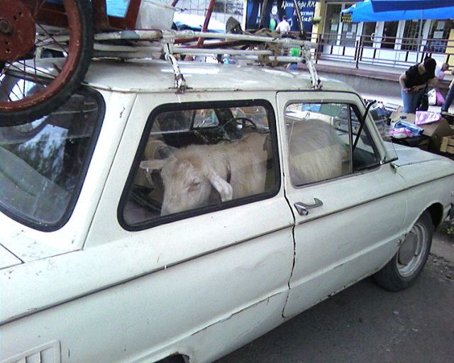 Daily picdump (108 pics)