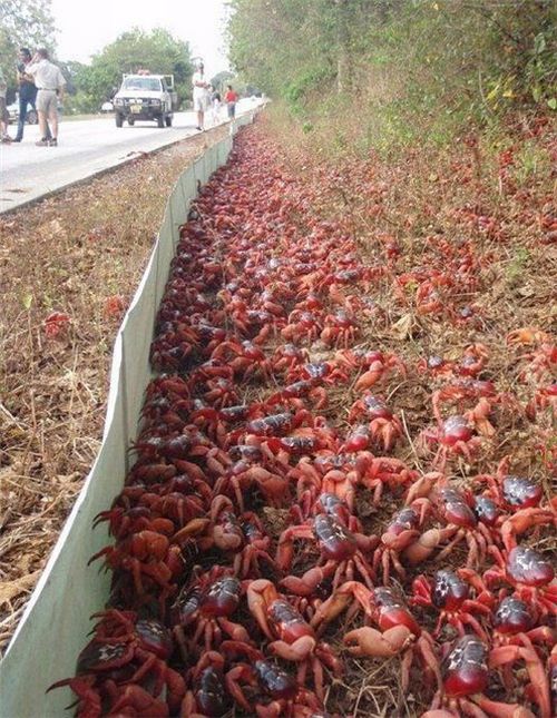 Daily picdump (125 pics)