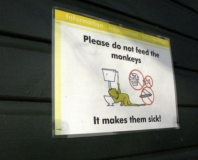 Daily picdump (125 pics)
