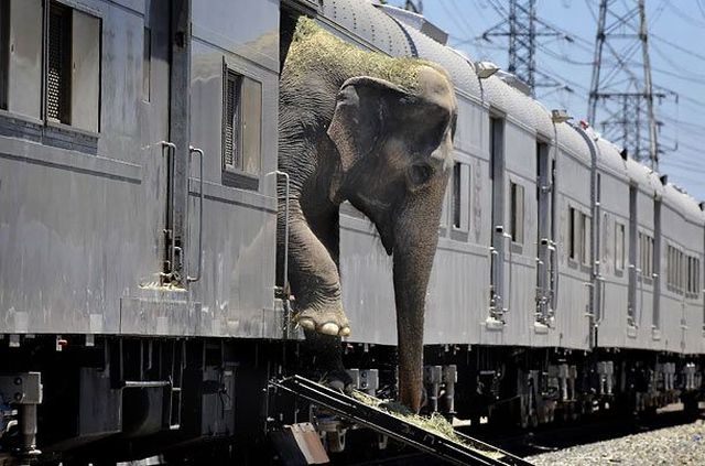Daily picdump (125 pics)