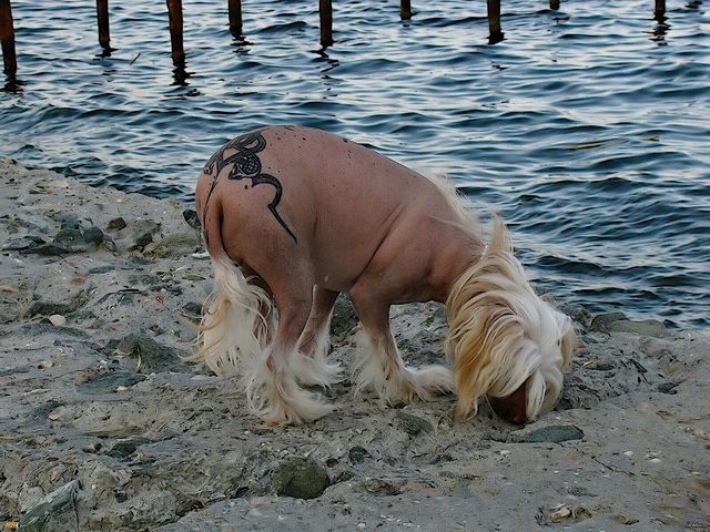 Daily picdump (125 pics)