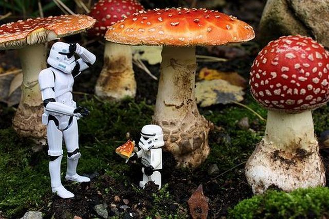 Daily picdump (125 pics)