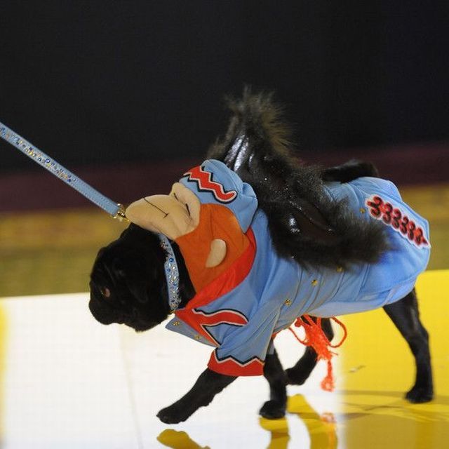 Daily picdump (125 pics)