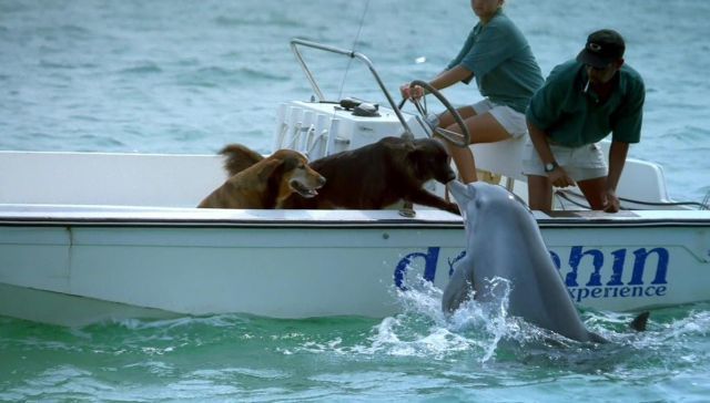 Daily picdump (125 pics)
