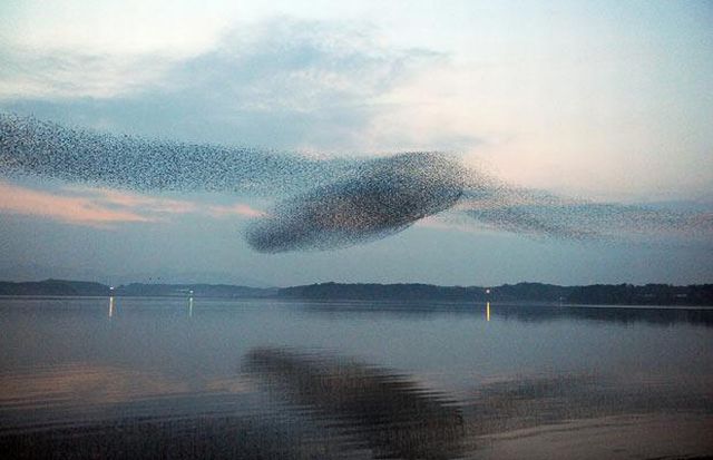 Nature Creates Incredible Pictures (13 pics)