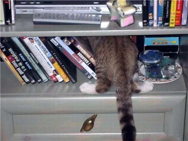 Daily picdump (121 pics)