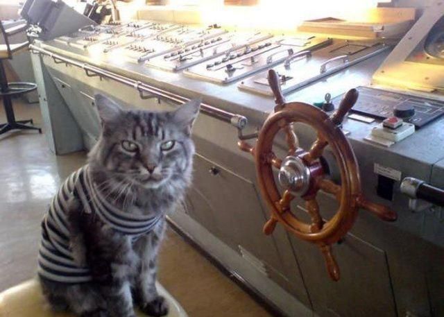 Daily picdump (121 pics)
