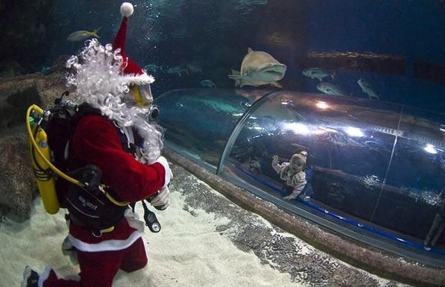 Daily picdump (121 pics)
