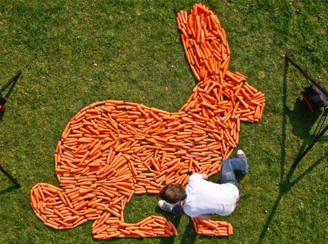 Daily picdump (121 pics)