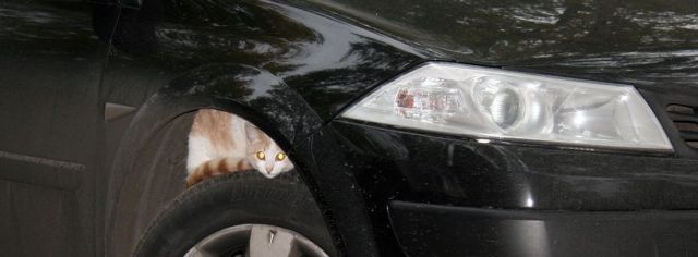 Daily picdump (121 pics)