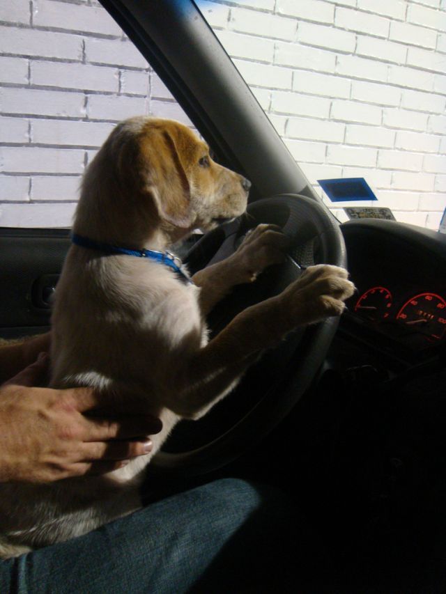 Daily picdump (121 pics)