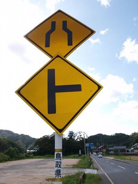 Daily picdump (121 pics)