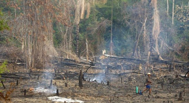 Amazon Drought (16 pics)