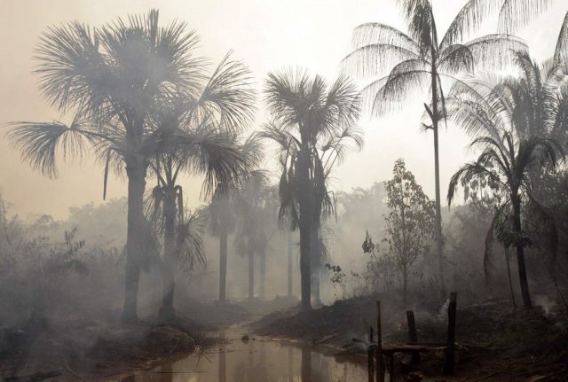 Amazon Drought (16 pics)