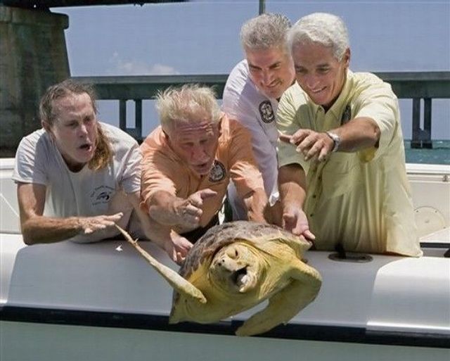 Daily picdump (127 pics)