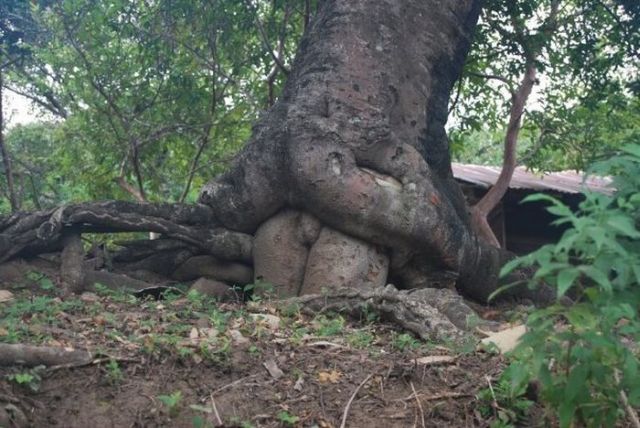 Daily picdump (127 pics)