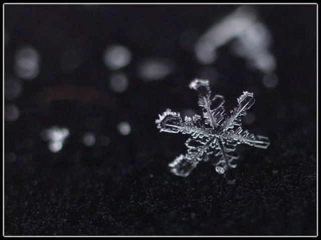 Unique and Beautiful Snowflakes (49 pics)