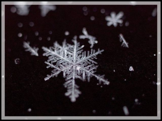 Unique and Beautiful Snowflakes (49 pics)